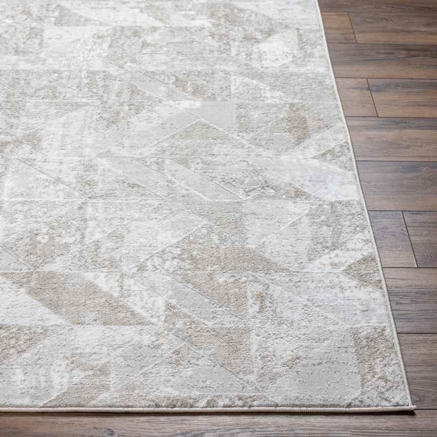 Adrion Modern Dark Brown/Ivory Area Rug