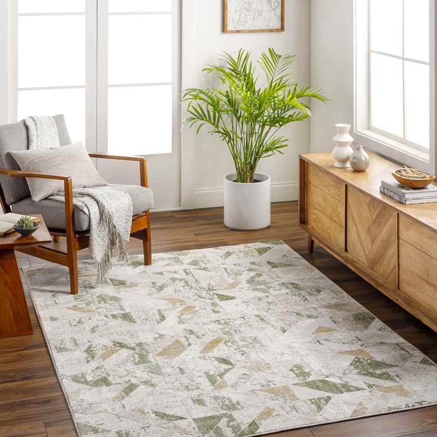 Adrion Modern Moss/Ivory Area Rug