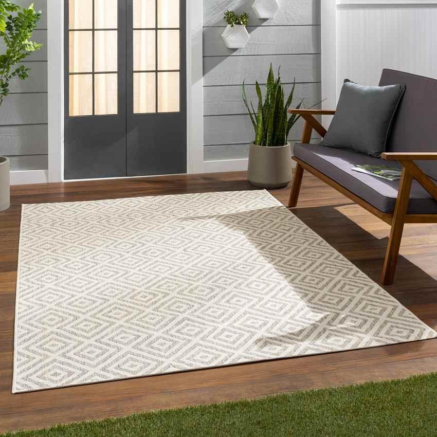 Aekinga Traditional Beige Area Rug