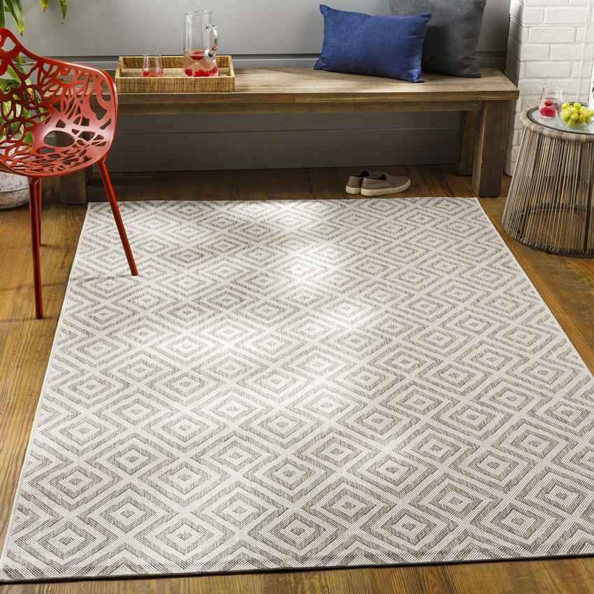 Aekinga Traditional Beige Area Rug