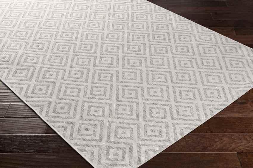 Aekinga Traditional Beige Area Rug