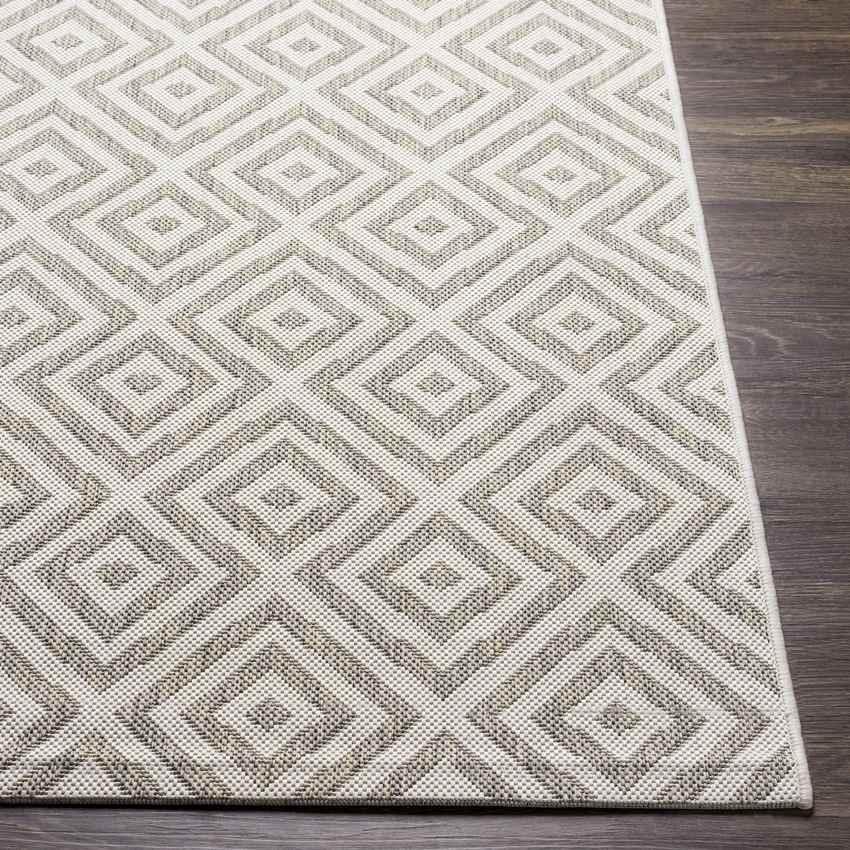 Aekinga Traditional Beige Area Rug