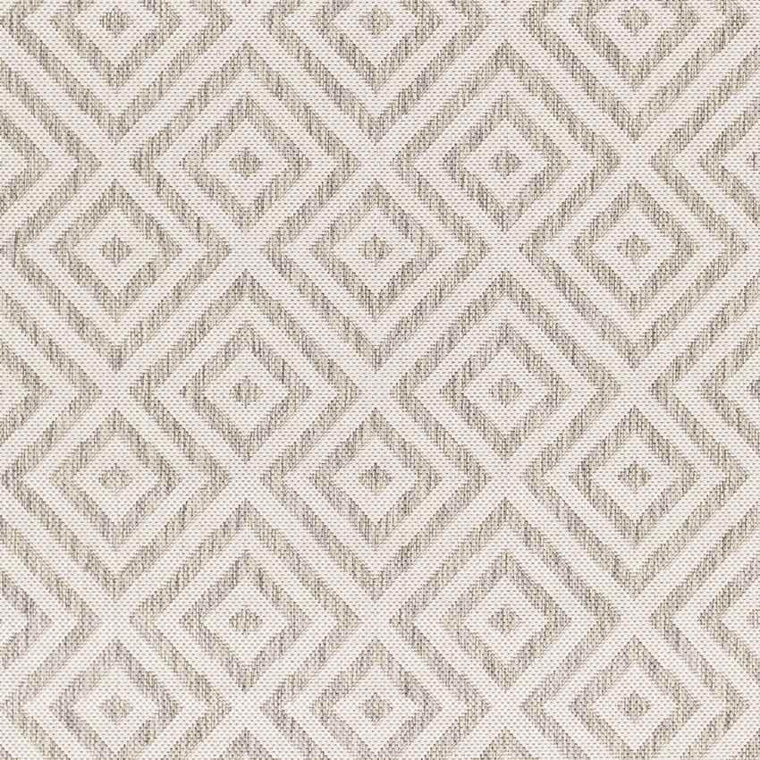 Aekinga Traditional Beige Area Rug