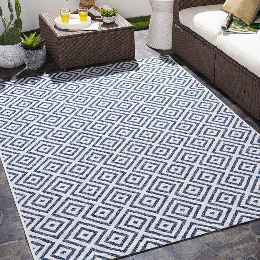 Aekinga Traditional Blue Area Rug