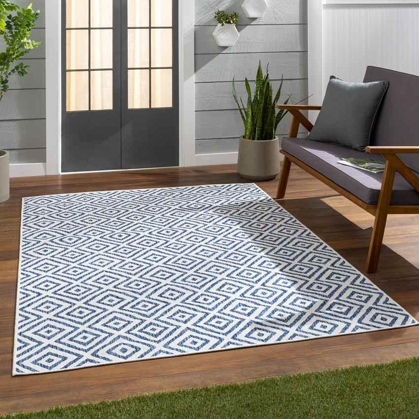 Aekinga Traditional Blue Area Rug