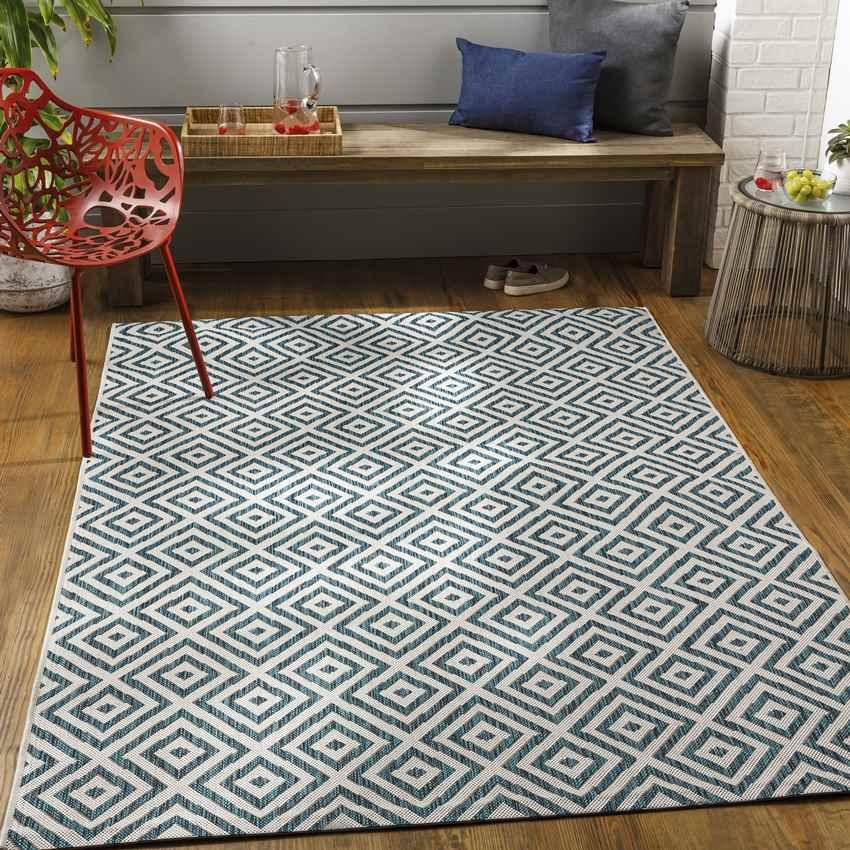 Aekinga Traditional White Area Rug