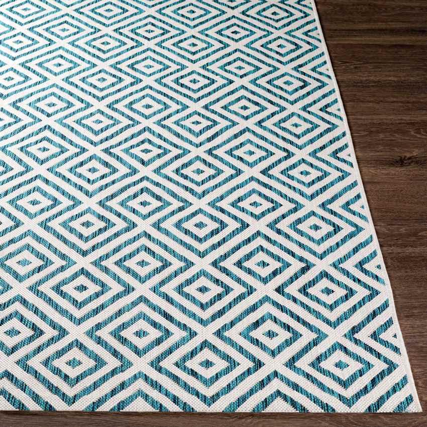 Aekinga Traditional White Area Rug