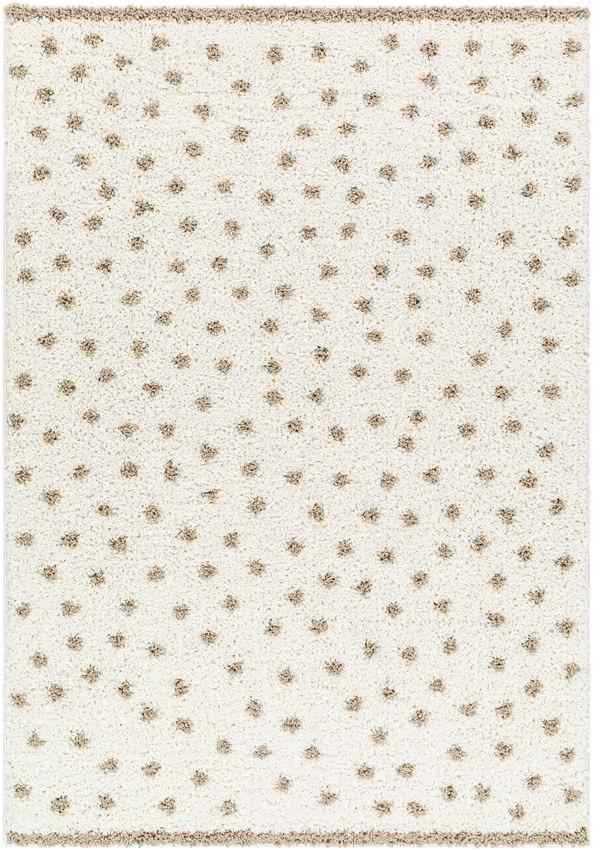 Aerica Modern Ivory/Brown Area Rug