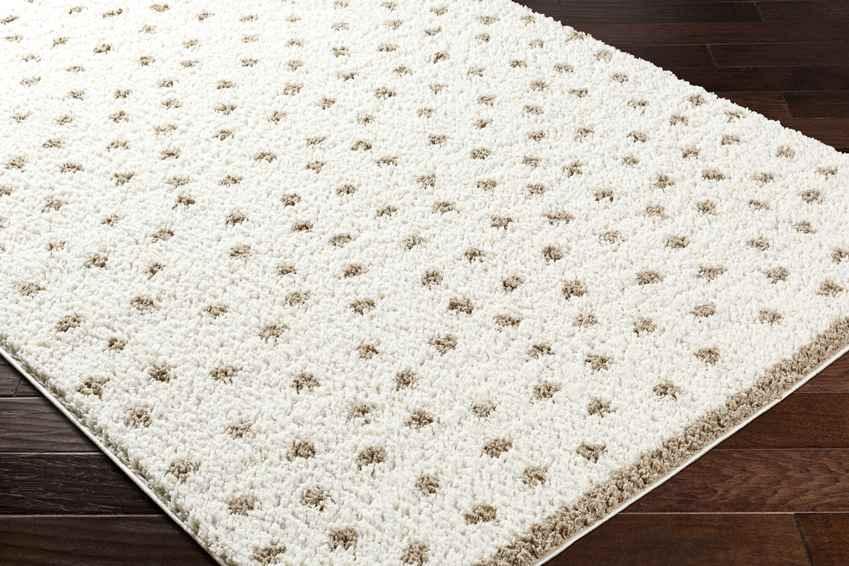 Aerica Modern Ivory/Brown Area Rug