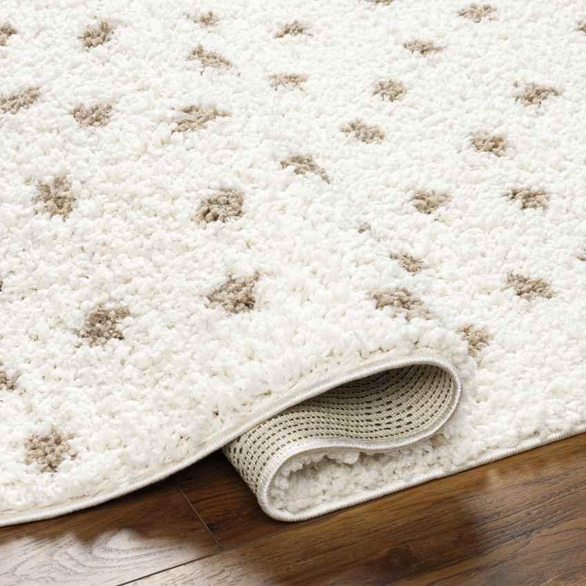 Aerica Modern Ivory/Brown Area Rug