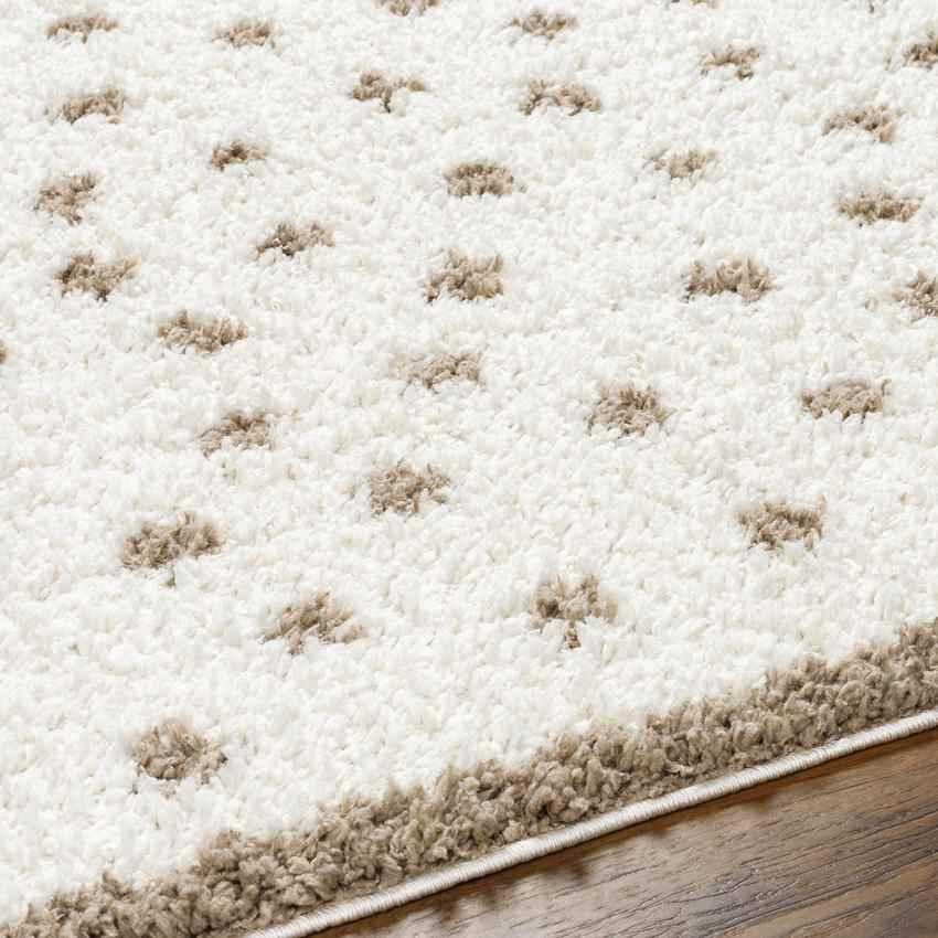 Aerica Modern Ivory/Brown Area Rug