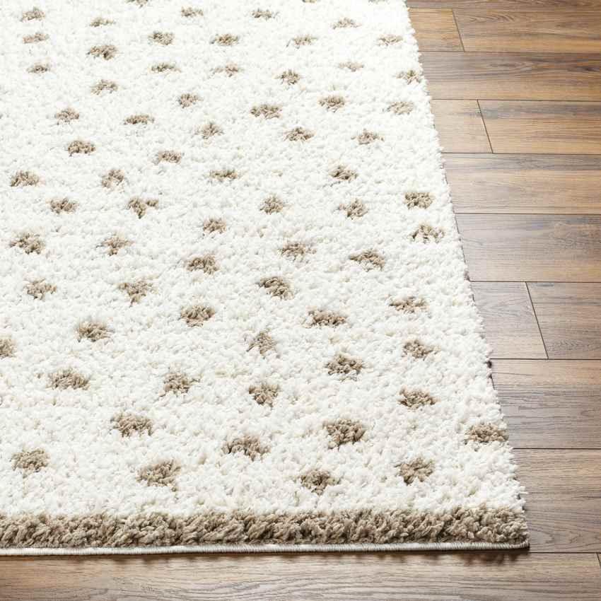 Aerica Modern Ivory/Brown Area Rug