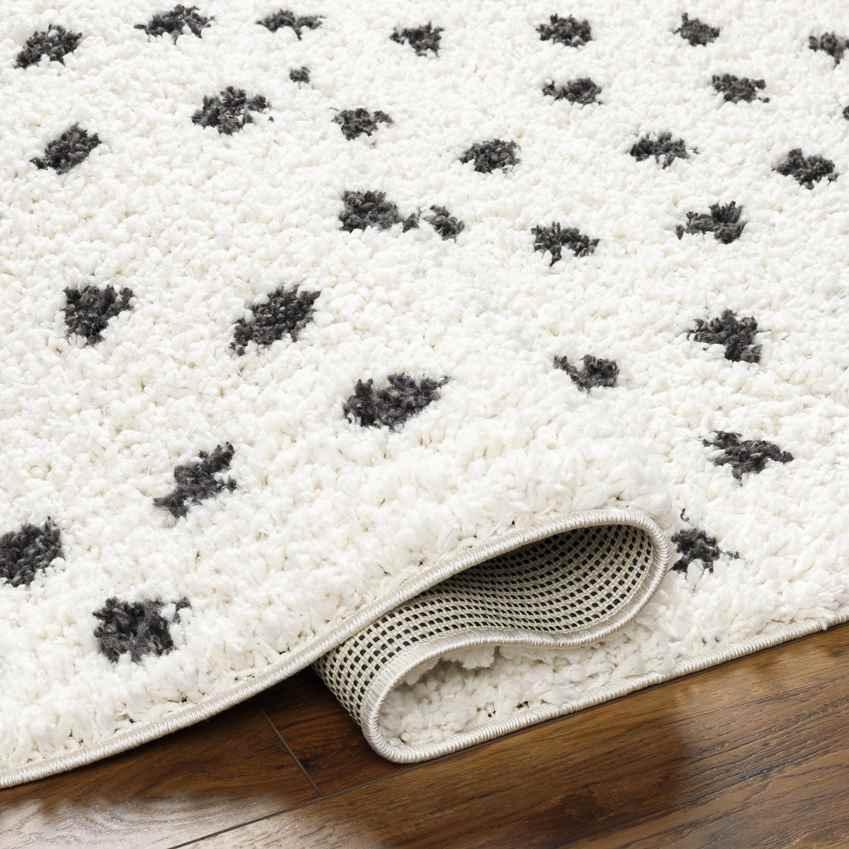 Aerica Modern Ivory/Dark Gray Area Rug