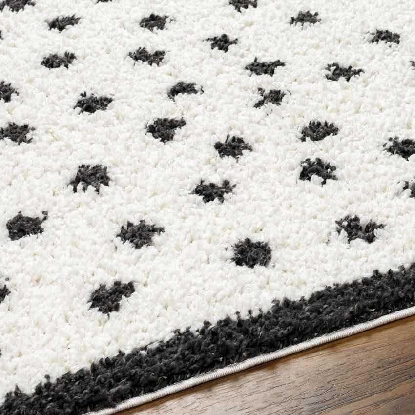 Aerica Modern Ivory/Dark Gray Area Rug