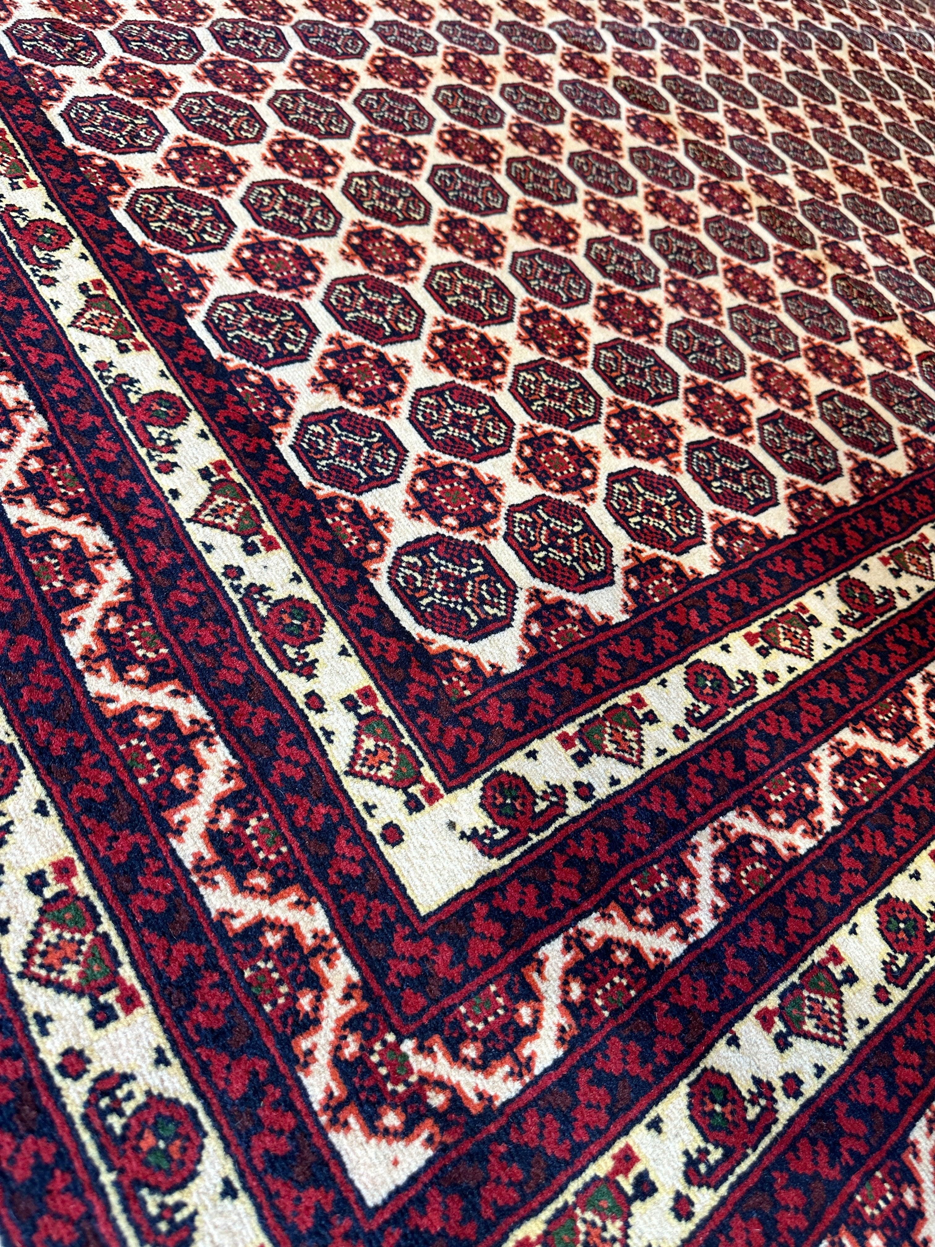 Afghani I Khwaja Roshna 7x10 Area Rug