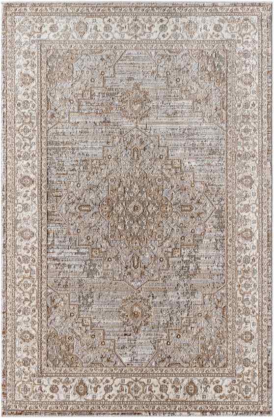 Afnan Traditional Dark Brown/Medium Gray Area Rug