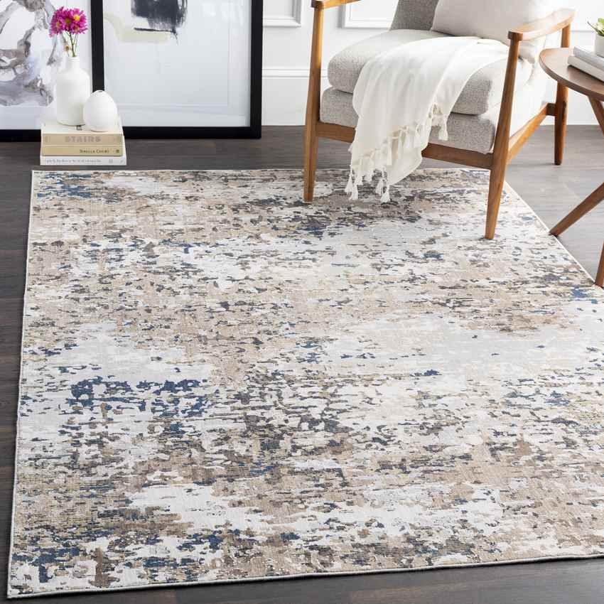 Agde Modern Light Gray Area Rug