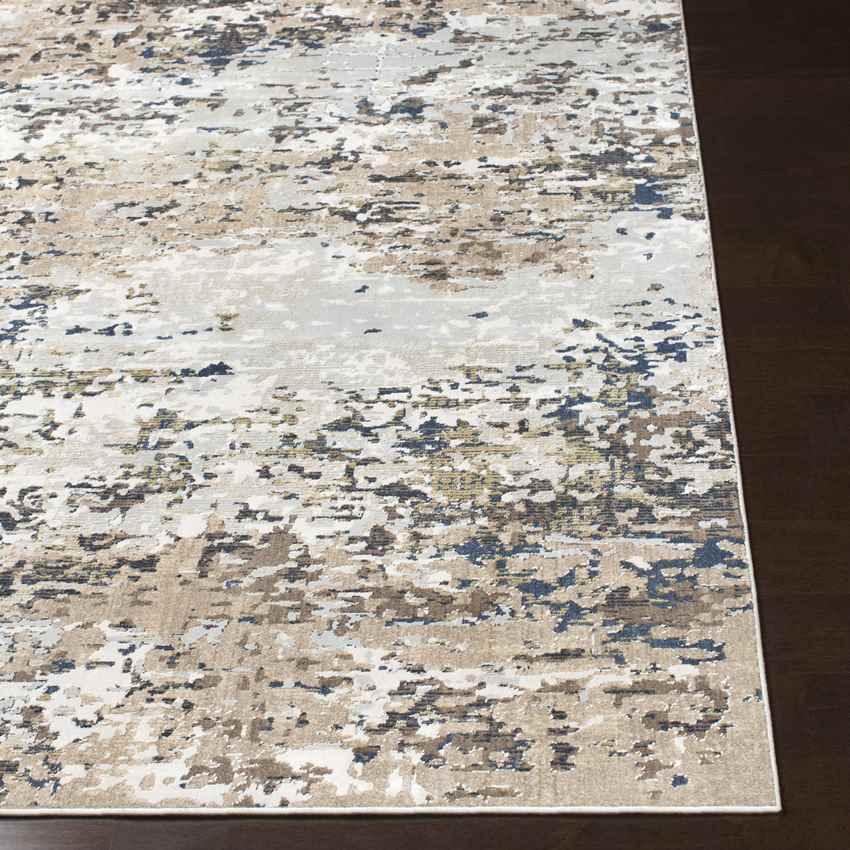 Agde Modern Light Gray Area Rug