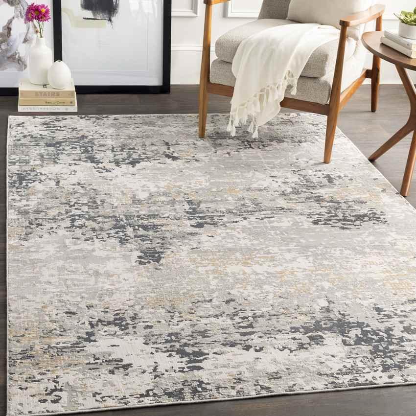 Agde Modern Slate Area Rug