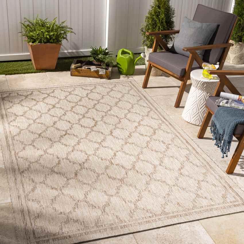 Agenda Traditional Beige Area Rug