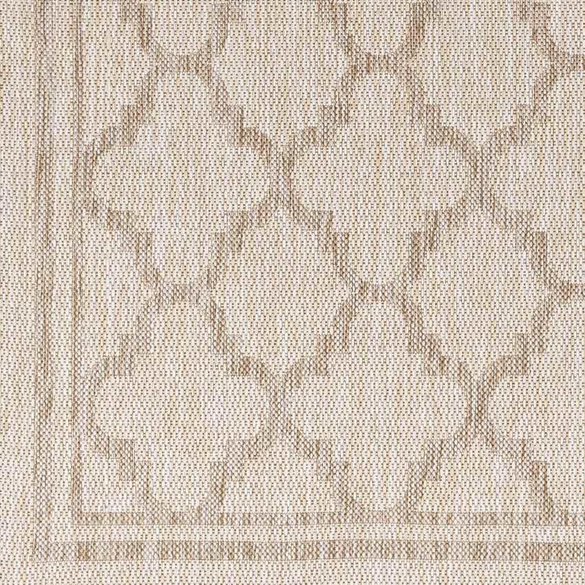 Agenda Traditional Beige Area Rug