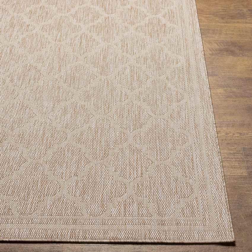 Agenda Traditional Brown Area Rug