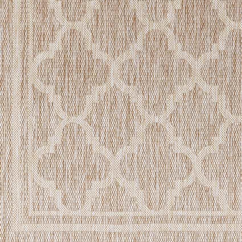 Agenda Traditional Brown Area Rug