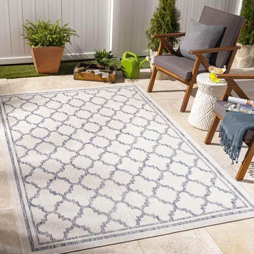 Agenda Traditional Ivory Area Rug