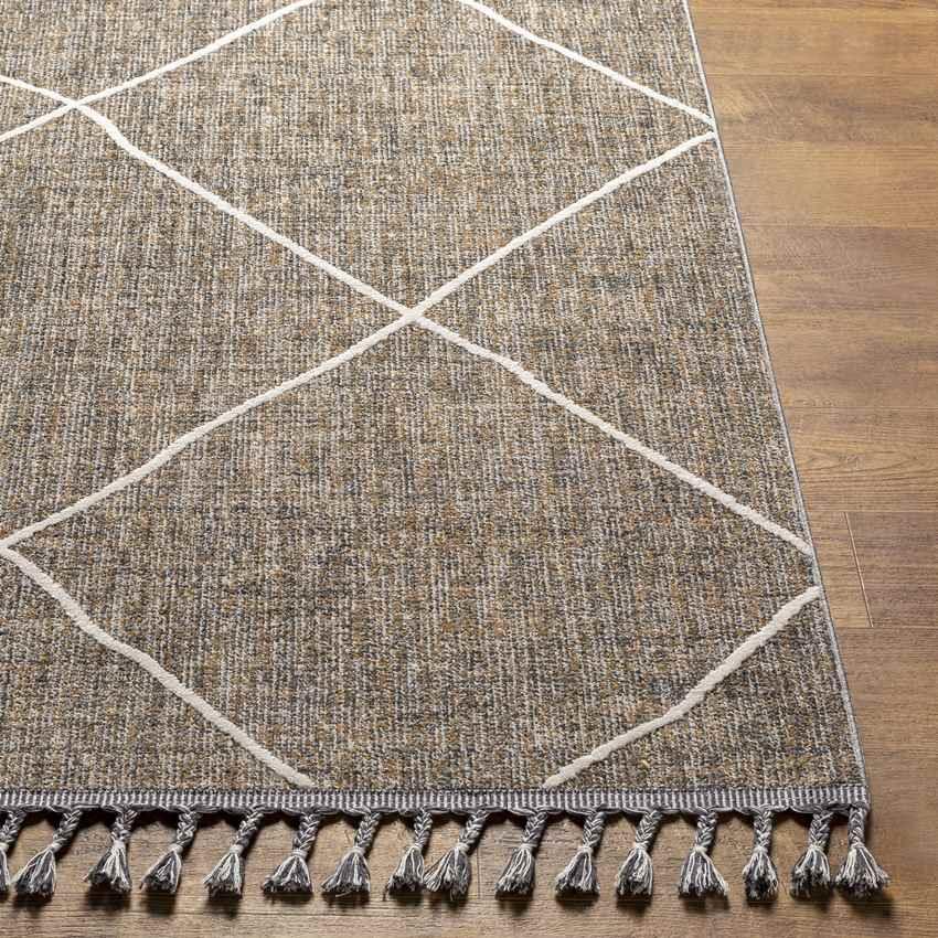 Aglandjia Global Wheat Area Rug