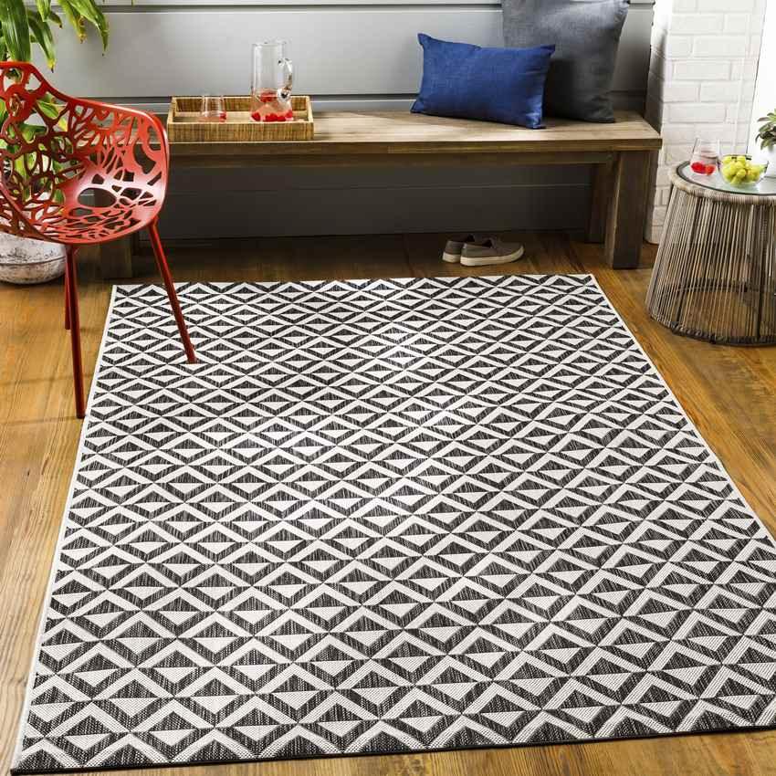 Akkrum Modern Black Area Rug