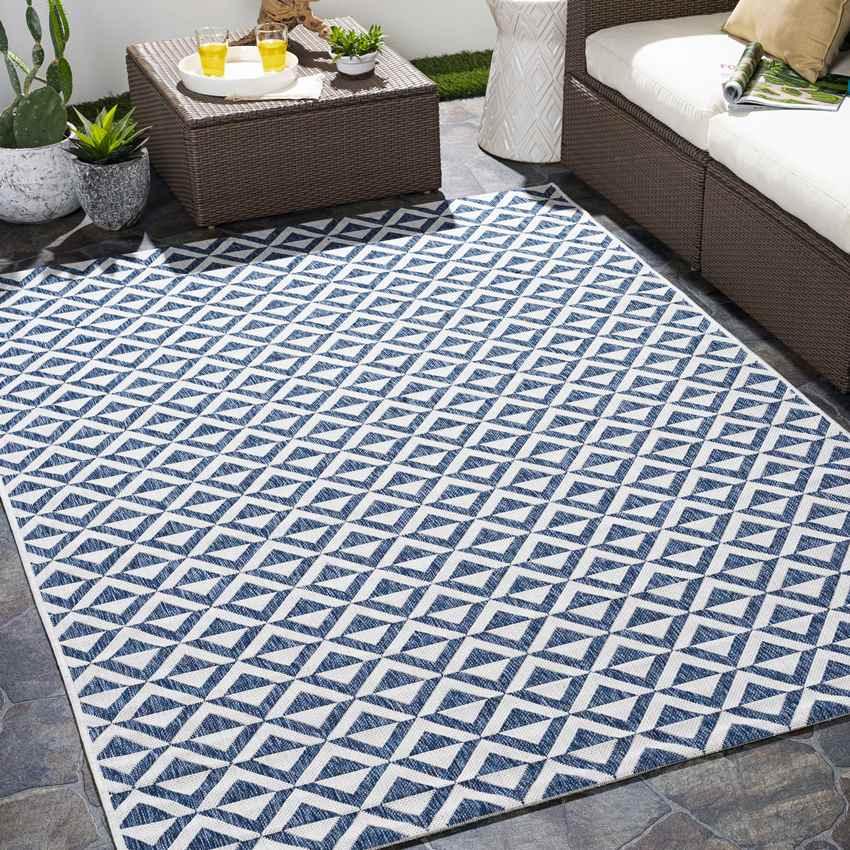 Akkrum Modern Blue Area Rug