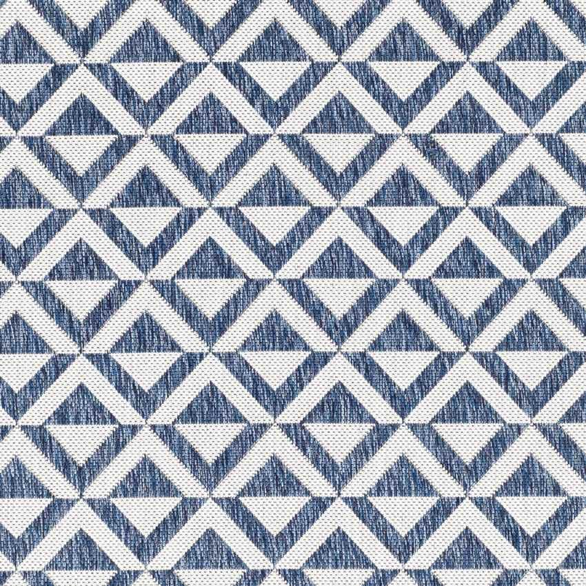 Akkrum Modern Blue Area Rug