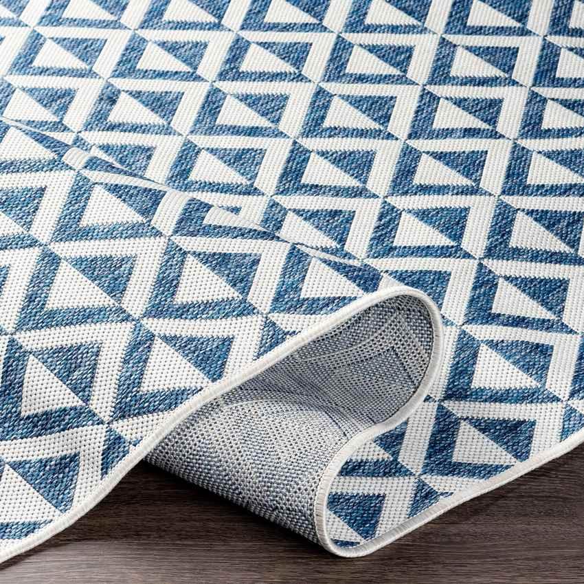 Akkrum Modern Blue Area Rug