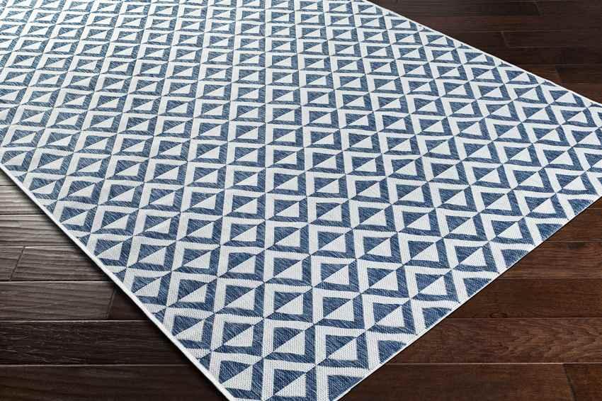 Akkrum Modern Blue Area Rug