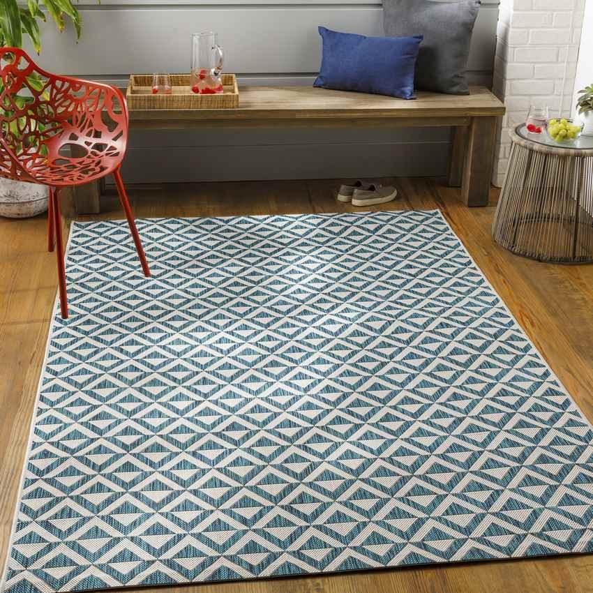 Akkrum Traditional White/Blue Area Rug