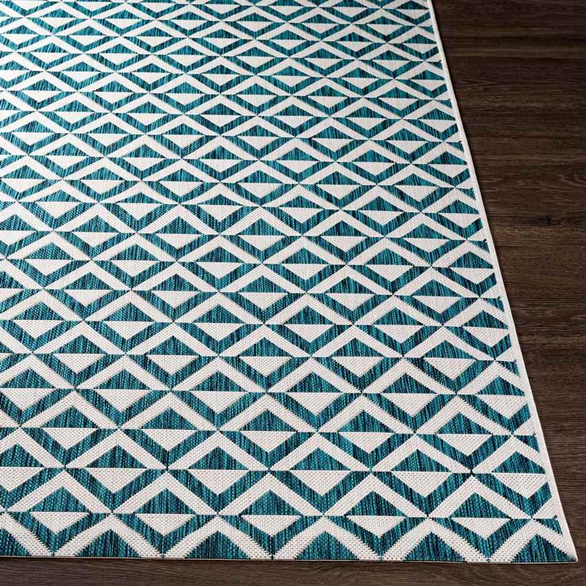 Akkrum Traditional White/Blue Area Rug