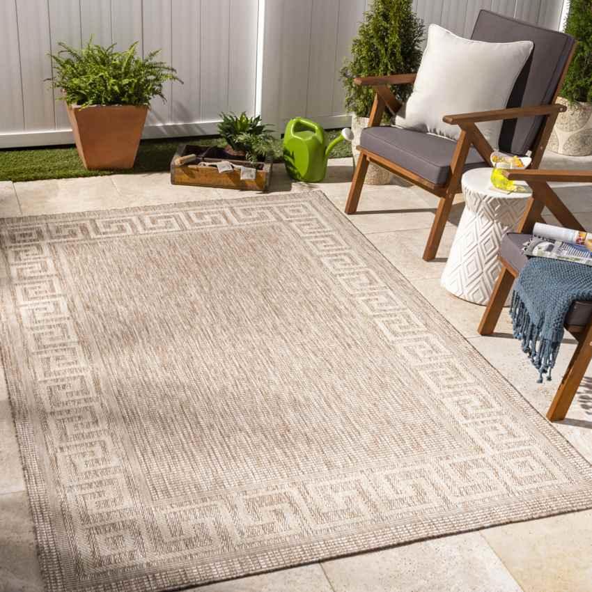 Albert Traditional Beige Area Rug