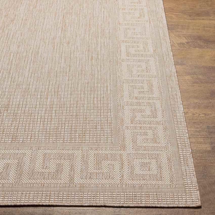 Albert Traditional Beige Area Rug