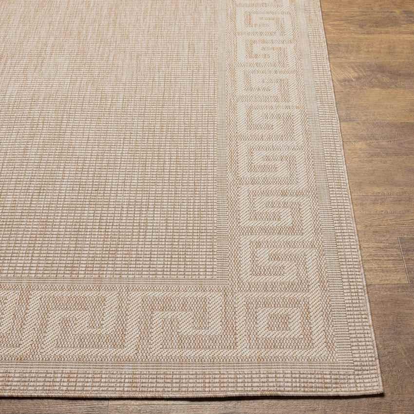 Albert Traditional Brown Area Rug