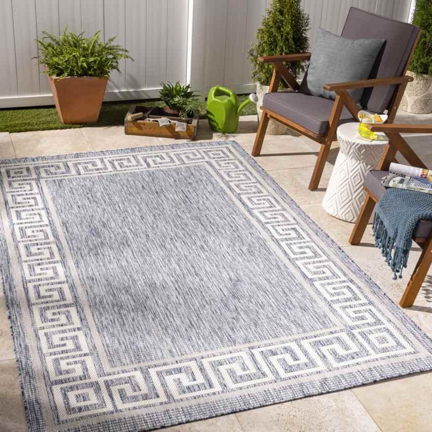 Albert Traditional Denim Area Rug