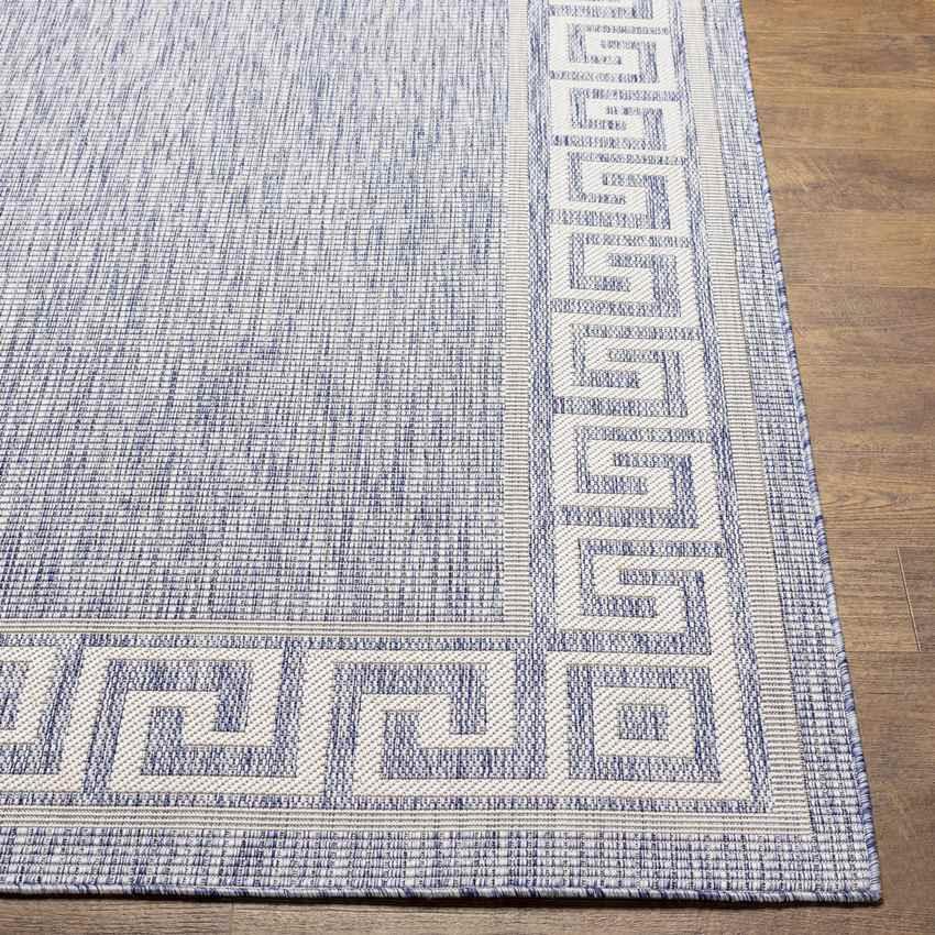 Albert Traditional Denim Area Rug