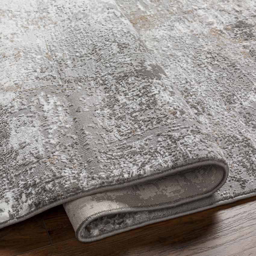 Alburnett Modern Gray Area Rug