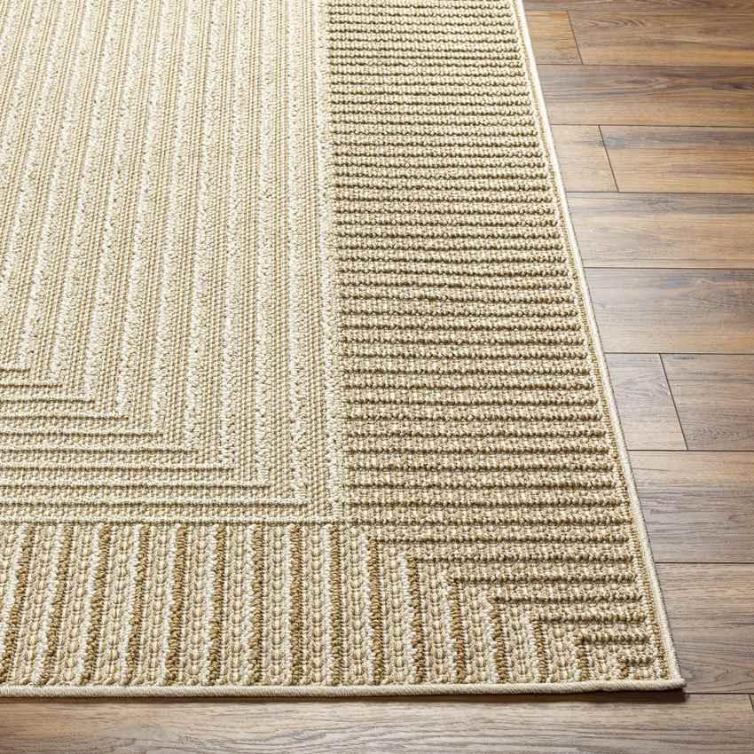 Aldin Modern Beige Area Rug