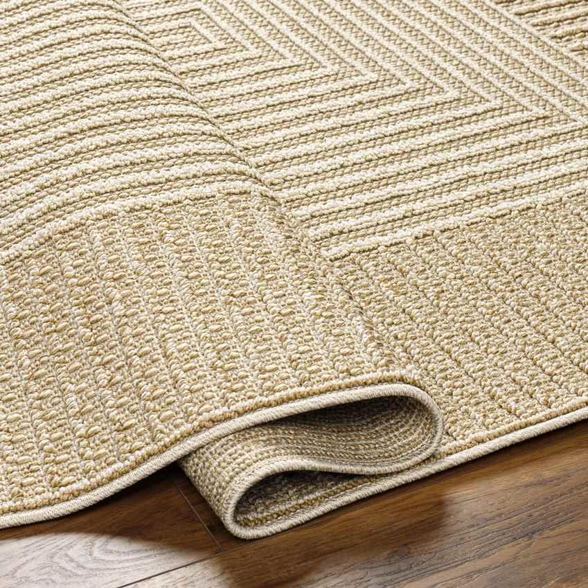 Aldin Modern Beige Area Rug