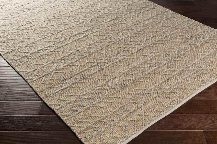 Ales Global Beige Area Rug