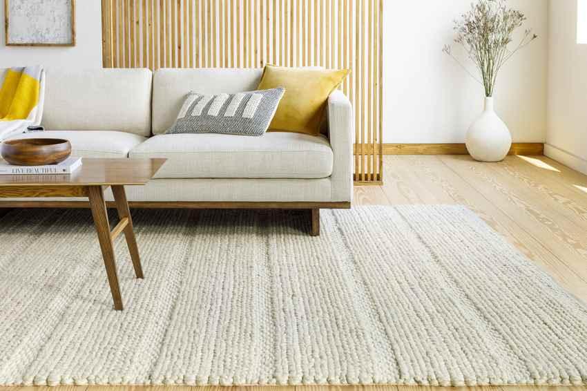 Alex Modern Ivory Area Rug