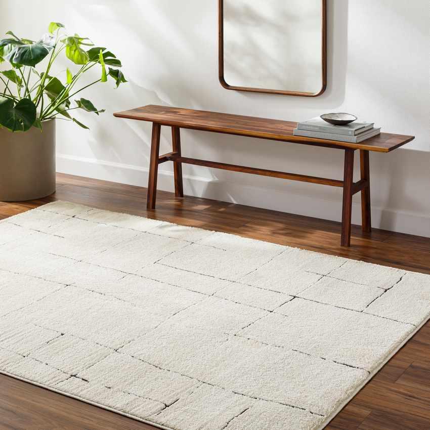 Alexsis Modern Ivory/Black Area Rug