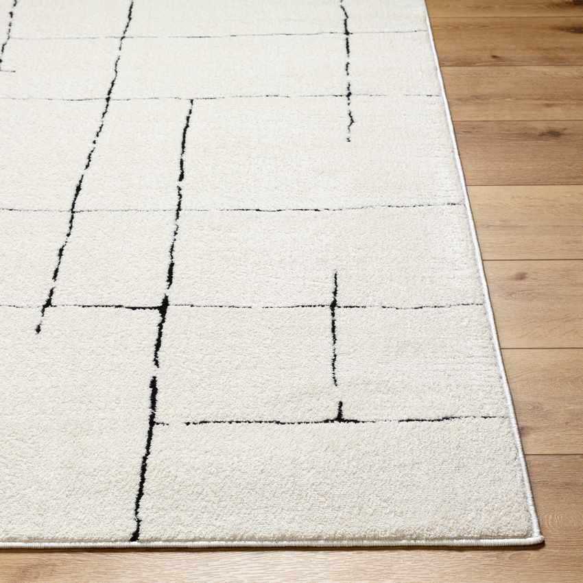 Alexsis Modern Ivory/Black Area Rug