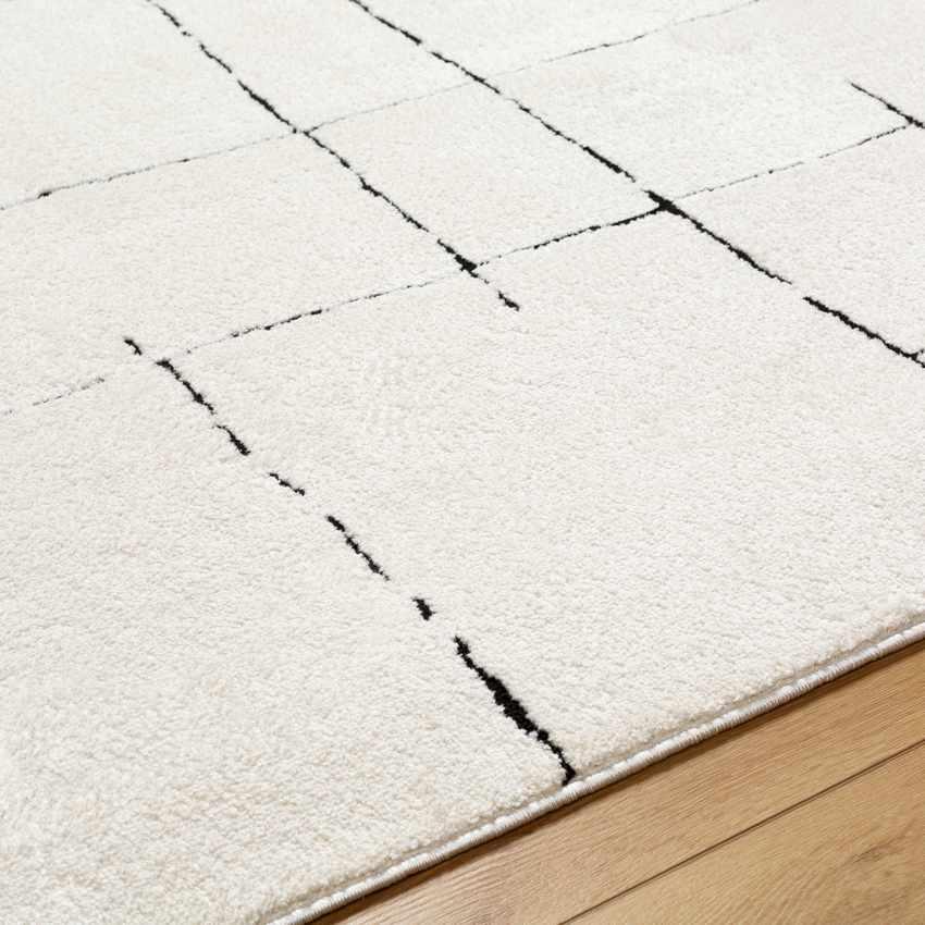 Alexsis Modern Ivory/Black Area Rug