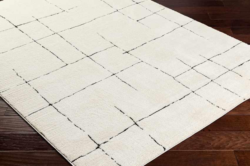 Alexsis Modern Ivory/Black Area Rug